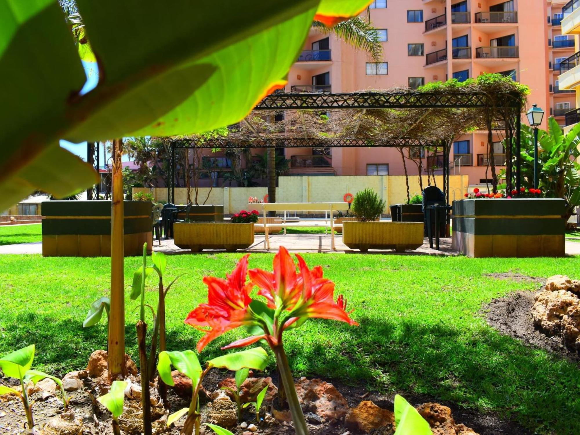 Luminoso Apartamento De 3 Dormitorios A Pie De Playa En 托雷莫利诺斯 外观 照片